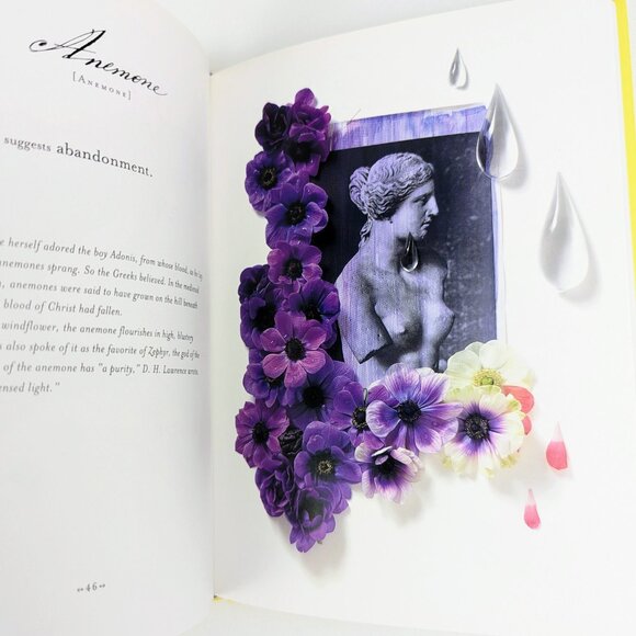 The Meaning of Flowers bright yellow book with Victorian floral illustrations - Picture 5 of 16